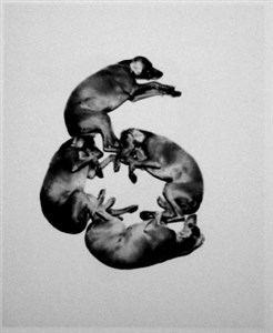 Image description is not available for 2001.035